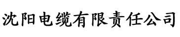 国产精品麻豆视频电缆厂logo